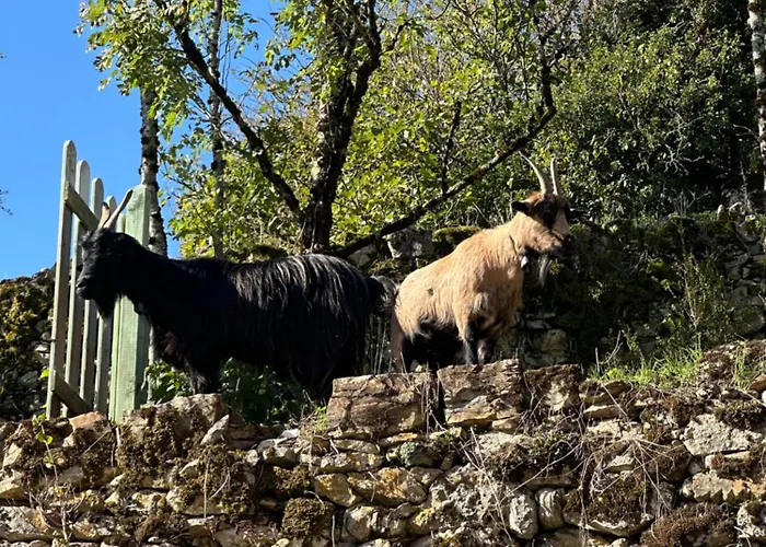 Gites De Coussane